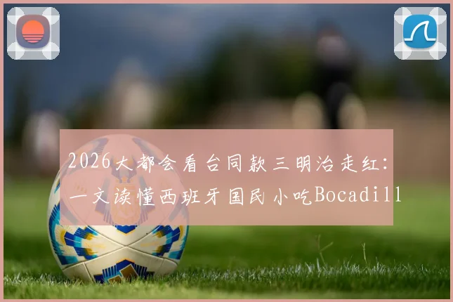 2026大都会看台同款三明治走红：一文读懂西班牙国民小吃Bocadillo，附正宗做法与马德里觅食指南